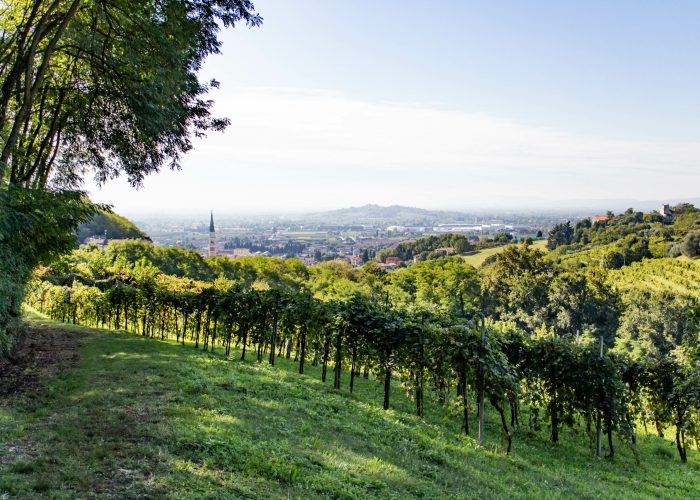 Colline di Breganze (VI)
