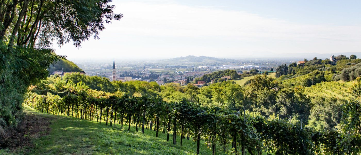 Colline di Breganze (VI)