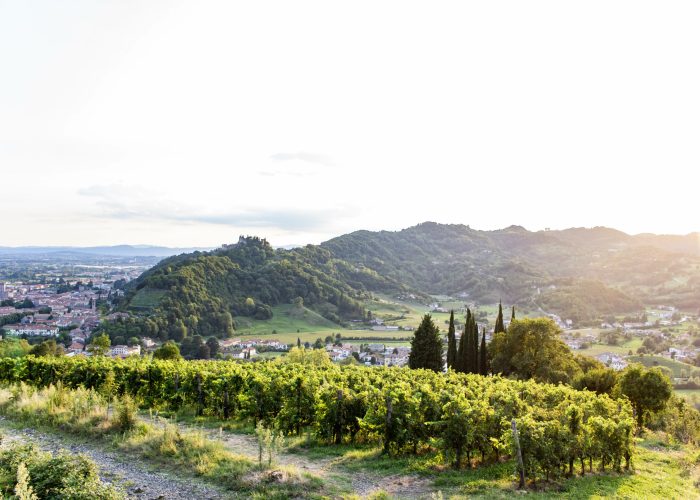 Colline di San Benedetto