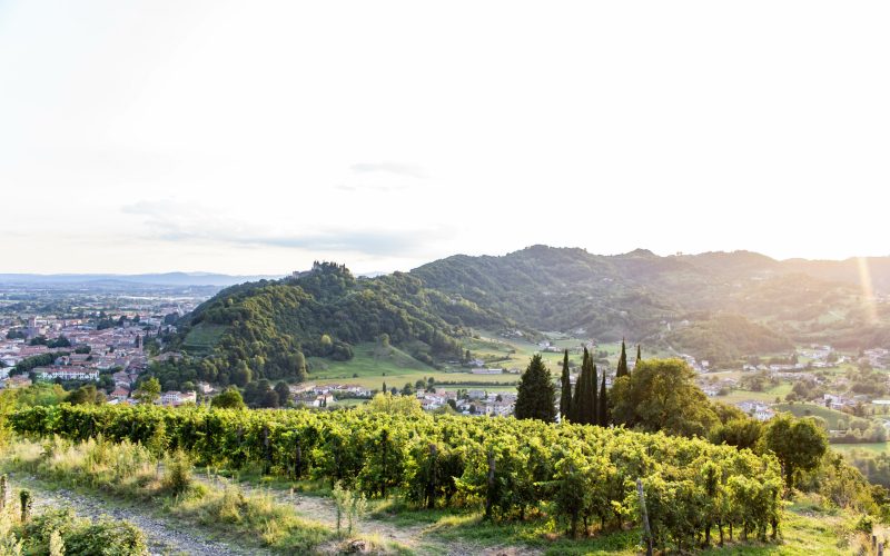 Colline di San Benedetto