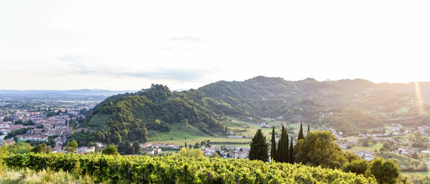 Colline di San Benedetto